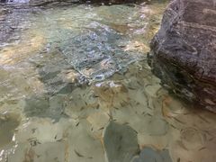 -天目湖涵田半山温泉水乐园