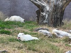 -杭州野生动物世界