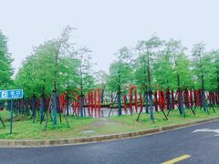 -春花秋色城市公园