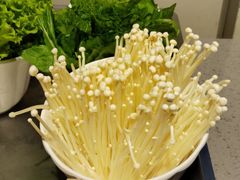 -木王宴语·野生鲜菌火锅(玉河店)