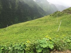 -崇州九龙峡漂流