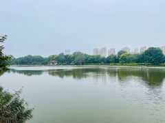 -塘沽森林公园