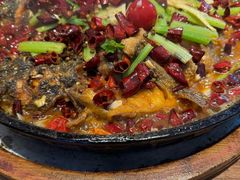 -老板恋上鱼(恒隆广场店)