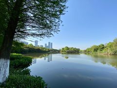 -艾溪湖湿地公园