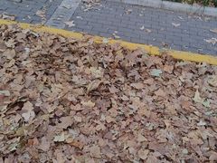 -西安交通大学(雁塔校区)