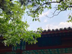 -宣武艺园