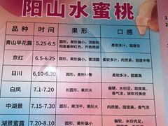 -老袁家蜜桃农场·阳山水蜜桃