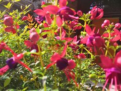 -西安化觉巷清真大寺