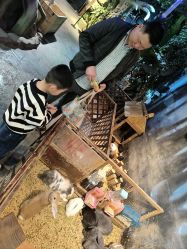 -酷嗒动物文化乐园(cutezoo西溪乐天城店)