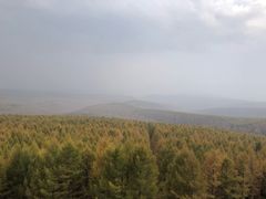 -塞罕坝国家级自然保护区