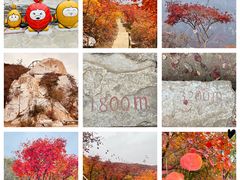 -周口店坡峰岭风景区