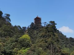 -缙云山景区