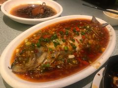 -陈麻婆豆腐总店