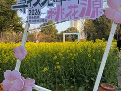 -圩墩遗址公园
