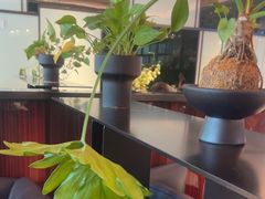 -风渡嘉荷·美式西餐·牛排(西三旗金隅店)