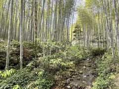 -黄公望隐居地