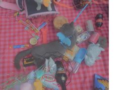 -永定河休闲森林公园