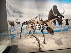 -辽宁古生物博物馆