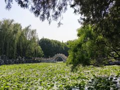 -莲池书院博物馆