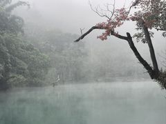 -小七孔景区东门售票处