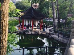 莲湖公园-莲湖公园