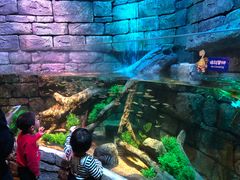 -沈阳海洋探索中心