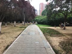 -陕西自然博物馆