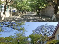 -八大关景区