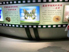 -上海昆虫博物馆