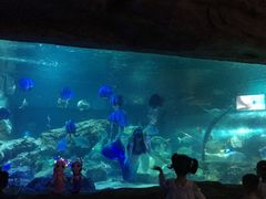 -Mr.Pizza米斯特比萨(盐城聚龙湖店)