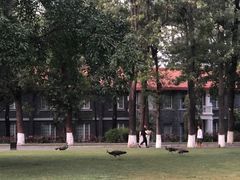 -西昌邛海宾馆