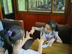 -合肥滨湖国家森林公园