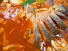 -苗侗地道红酸.酸汤鱼·酸汤牛肉