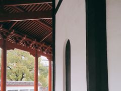 -绳金塔