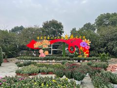 -南山植物园