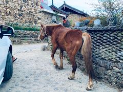 -玉湖村