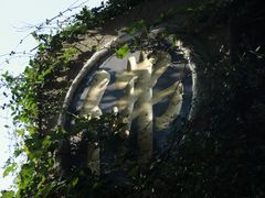 -雨花胜境