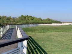 -春花秋色城市公园