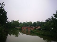 -白鹭湾湿地公园