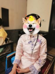 -盘子女人坊古装写真摄影(天津总店)