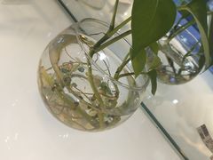 -陆稿荐观前街店