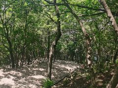 -北高峰