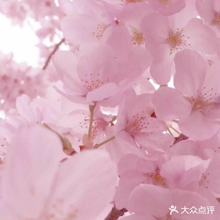 自由，呼吸的日子也不远了。