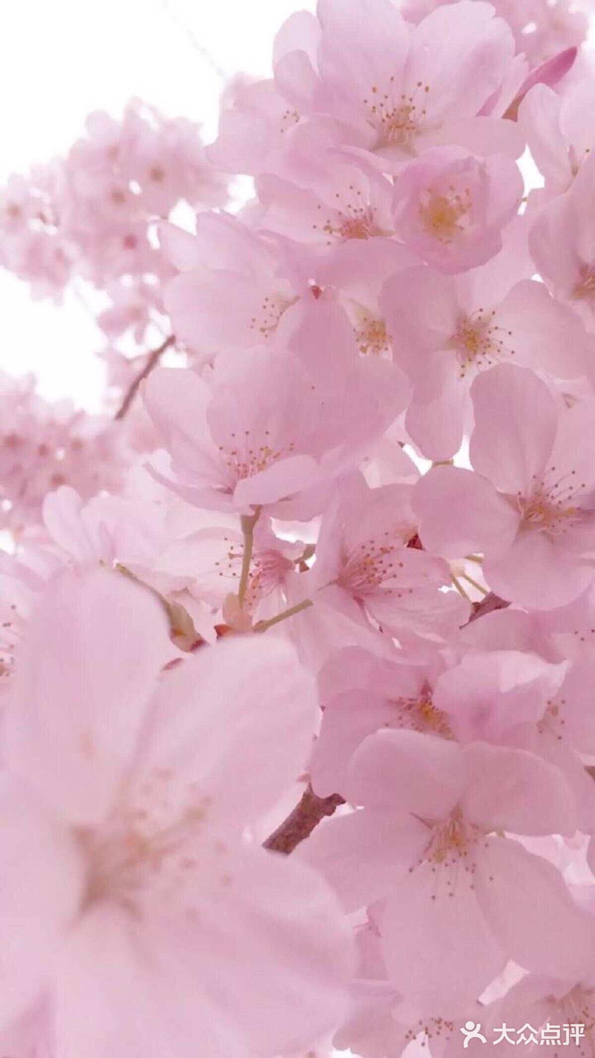 自由，呼吸的日子也不远了。