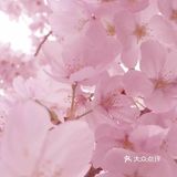 自由，呼吸的日子也不远了。