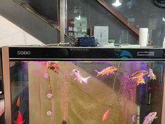 -老杨头烧烤(博烤堂店)