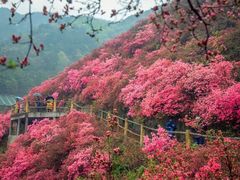 -木兰云雾山