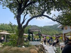 -紫马岭公园