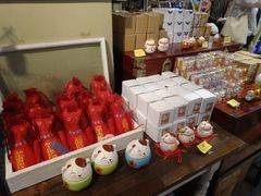 -猫咪博物馆(顶澳仔猫街店)