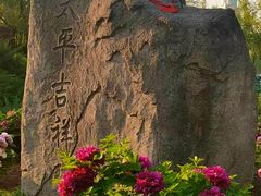 -莲花池公园